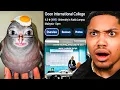 Ranking Instagram Reels GOON Edition..