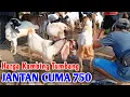 Download Lagu Harga Kambing Di Pasar Masih TENGGELAM