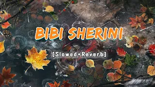 bibi sherini pushto full song slowed and reverb 