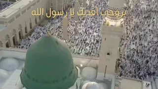 بروحي أفديك يا رسول الله 