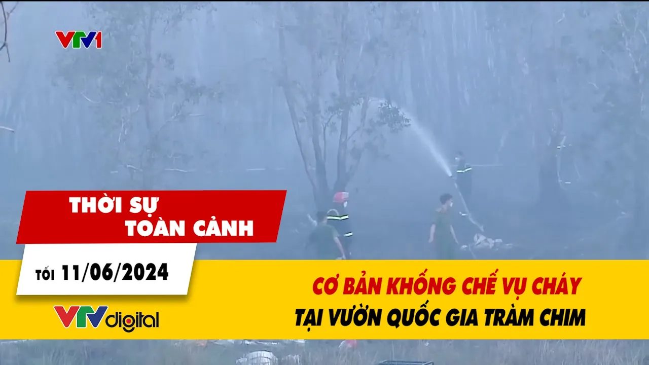 Outline Video Thời sự toàn cảnh tối 11/06: Cơ bản khống chế vụ cháy tại Vườn quốc gia Tràm Chim | VTV24