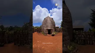 كيف تبني قبيلة الدورزي منازلها 