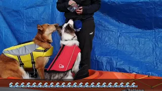 All Aboard