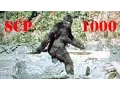 Download Lagu SCP 1000