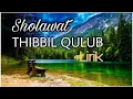 Download Lagu THIBBIL QULUB Lirik (Sholawat Syifa Obat Segala Penyakit)