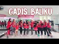 Lagu GADIS BALIKU - Abiem Ngesti // senam kreasi //tiktok viral // dangdut kreasi // SHY Studio