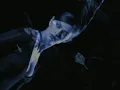 Chayanne - Volver A Nacer (Video)