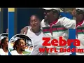 Zebra - Zebra Is Back Eno WYFL Riddim