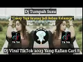 Download Lagu DJ TUMPAH SUSU CAKEP TAPI SAYANG JADI BEBAN KELUARGA VIRAL TIKTOK 2023 YANG KALIAN CARI !!