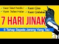 Download Lagu 7 Hari Kacer Jinak Total! Lakukan 6 Pola Menjinakan Kacer giras Ampuh Ini, cara menjinakan kacer