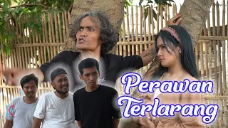 Perawan Terlarang