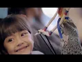 Download Lagu Kompilasi Iklan Garuda Indonesia sejak tahun 2000