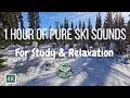 🏔️ 1 Hour of Pure Ski Sounds ❄️ | Relaxation ASMR 4K