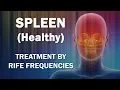 Download Lagu Spleen (Healthy) - RIFE Frequencies Treatment - Energy \u0026 Quantum Medicine with Bioresonance