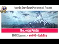 FFXIV How to Purchase Pictures of Eorzea in Idyllshire - Heavensward