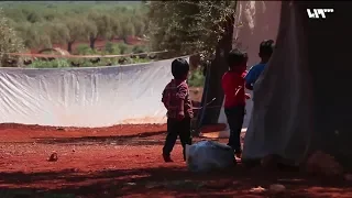 عيد السوريين تحت أشجار الزيتون 