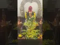 Download Lagu Evening puja Ganapathi Sahasranama Durvarchana