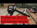 Craftsman BV225 review