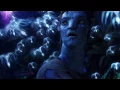 Avatar (Piano Cover) - The Bioluminescence of the Night