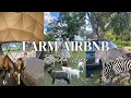 Best Airbnb in Florida Peaceful nature Vlog