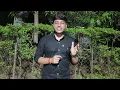 Academic Calendar for MSU Baroda Students