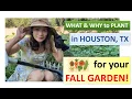 Fall Garden in Houston TEXAS WHAT to PLANT TIPS Garden Tour