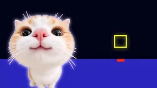 Hachimi Michi Mambo | BOUNCING SQUARE