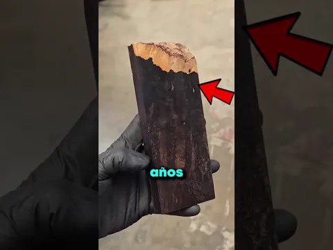El Secreto Mejor Guardado De Los Castores🤯🐧
