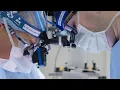 University of Florida Thoracic Cardiovascular Surgery Fellowship