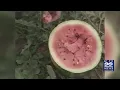 Food for Thought the benefits of eating watermelon seeds