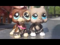 NEW LPS GREAT DANE 817