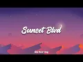 Download Lagu Selena Gomez, benny blanco - Sunset Blvd (1 Hour Loop)