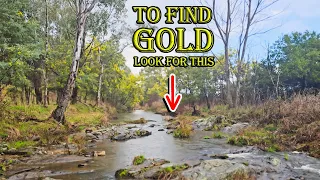 this is the no 1 mistake gold prospectors make 4 places you should pan for gold