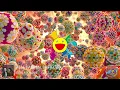 3in1 - Alle Farben, Sofiloud - TSHA - sanah