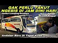 Download Lagu Andalan Baru Bus Tapal Kuda 😍 Gak Takut Ngebis Di Jam Dini Hari ❗️| trip Bagong N 7949 UG “ Artise “