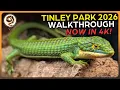 Experience the Tinley Park NARBC Summer Reptile Show as if YOU were there - Now in 4K