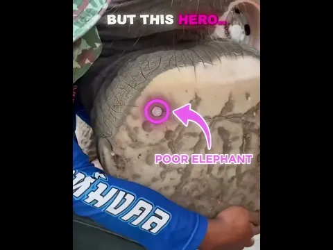 Others Kidness VS Hero 🥺❤️‍🩹