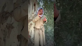 اليوم نويصر وفريج يردون يشترون جهاز علمود اذ تعارك ابو فريج يفزعون دندنها