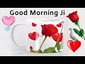 Download Lagu Good  Morning  status ,🌹Good  Morning shayari ,🌹Good Morning  video  ,🌹Good Morning