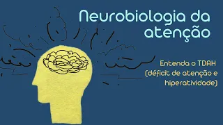 ATENÇÃO: O que diz a neurociência sobre o TDAH