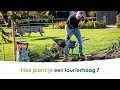 SIERTUIN_BORDER - Hoe plant je een laurierhaag?