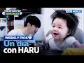 Download Lagu [Weekly Pick🤍] ¿No es adorable? [El Regreso de Superman] | KBS WORLD TV