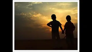 يارفيقي أي دربا  تبتغي من بعد دربي     انشودة روعة دندنها