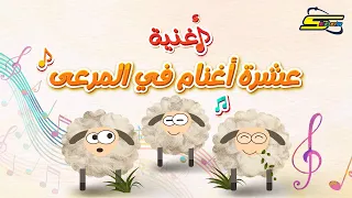 سبيستون   أغنية عشرة أغنام في المرعى دندنها