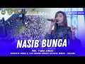 Lagu NASIB BUNGA - TIARA AMORA || SIMPATIK MUSIC LIVE BROMO SUNSET FESTIVAL MUSIC - MALANG