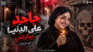 جاحد على الدنيا مبكرفش   قادر فى الكتره ومبخافش   ايه شعبان        ترند التيك توك   مواويل شعبى      دندنها