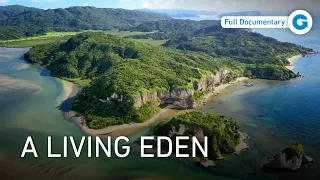 Inside Iriomote National Park Japan s Wildlife Sanctuary Full Documentary