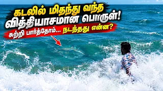 கடலில் மிதந்து வந்த வித்தியாசமான பொருள்! சுட்டு சாப்பிட்டோம் … நடந்தது என்ன? 😱🌊