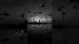 ويأبى القلب أن ينسى حنين ا يملك النفس 