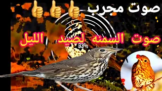 صوت لصيد السمنه في الليل ٢٠٢٢ 